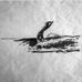 JESSE TIMM SURFBOARDS - Facebook