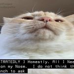jesse ! - @xx.__.jessetron.__.xx - Instagram