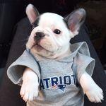 Jesse Truitt - @jessepatriots12 - Instagram