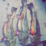 Jesse Turnbow - @jesset472023 - Instagram