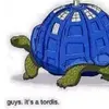 JesseTurtleman - @jessehamilton4 - TikTok