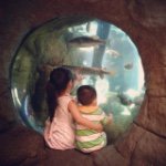 Jesse Vang - @sifuvang - Instagram