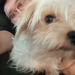 Jesse Vang - @vangjesse - Instagram