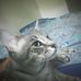 Jesse Venegas - Facebook