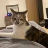 jessevogt610 - @jessevogt610 - TikTok