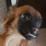 Jesse Voss - @jessevoss702 - Instagram