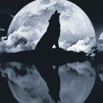 Jesse Wadsworth - @highlander2112 - Instagram
