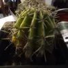 Jesse Wadsworth - @jesse.wadsworth2 - TikTok