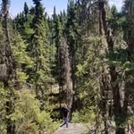 Jesse James Wasson - @1988jessejames - Instagram