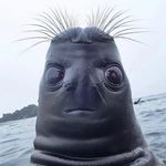 Jesse Weeks - @greyskull710 - Instagram