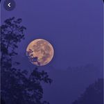 Jess - @jesse.weir23 - Instagram