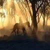 Author- Western Fiction - @author.jessewestern - TikTok