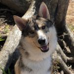 Jesse Watts-Wheatley - @jessewattswheatley - Instagram