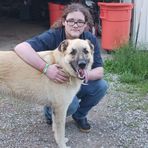 Jesse White - Facebook