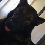 Jesse White - @jesse_being_bored - Instagram