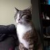 Jesse Willems - Facebook