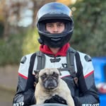 Jesse Willems - @_jessewillems_ - Instagram
