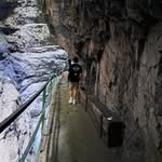 Jesse Willemse - @jessewillemse_ - Instagram