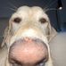 Jesse William - Facebook