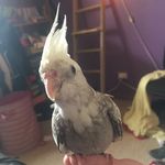 Jesse  Winchester - @jesse_brid100 - Instagram