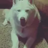 jess - @jessewinnn - TikTok