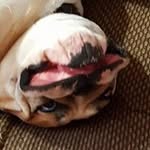 Jesse H. Winn II - @winn_jesse - Instagram