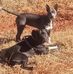 Jesse Workman - Facebook