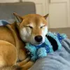 JesseWorksforTikTok - @jesseworks4tiktok - TikTok