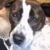 Jesse William Wyant - Facebook