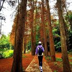 杨质子 - @jesse_yang - Instagram