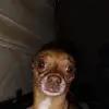 Jesse Yarbrough - @jesse.yarbrough3 - TikTok