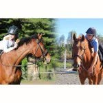 Jess & Yazzie - @silver_horseshoes - Instagram