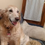 Jesse Yenser - @jesse.yenser.3 - Instagram