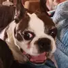 Jesse Yepez - @jesse.yepez - TikTok