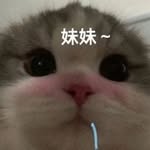 殷玖鹏 - @jesseyin1997 - Instagram