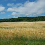 Jesse Yoder - @jesseyoder13 - Instagram