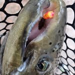 Jesse Yoder - @yoda8456 - Instagram