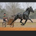 Jesse Yoder - @jesse_yoder_ - Instagram