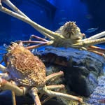 Jesse Yuan - @newbiephotogie - Instagram
