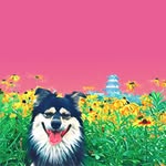 周辰曦 - @jesse._.zhou - Instagram
