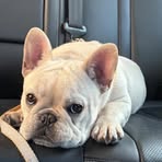 Jesse Zhou - Facebook