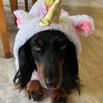 Jessie Zink - @jzink7452 - Instagram