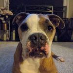 Jesse Zook - @jesse.zook - Instagram