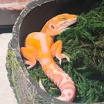 Jesse - @zookeeperjesse - Instagram
