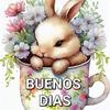 Jessenia  Cano - @jessenia.cano47 - TikTok