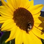 Jessica Ernst - @jessica.schmidt.3194 - Instagram