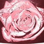 Jessica Gordon - @showerofroses - Instagram