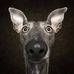Jessi Grant - Facebook