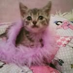 jess purdy - @jesspurdy2007 - Instagram