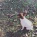 Jessie Purdy - Facebook